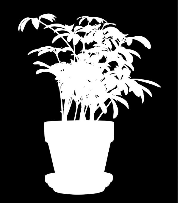 clipping path