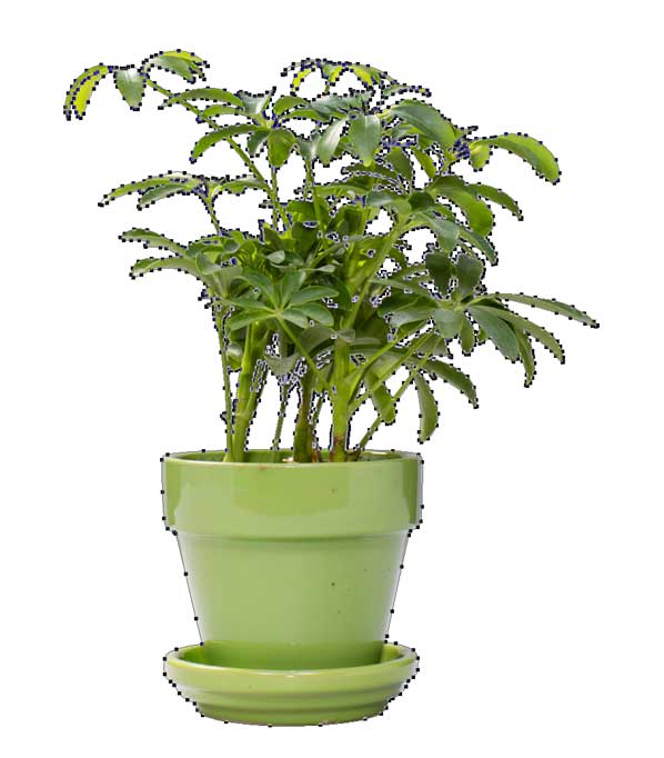 clipping path